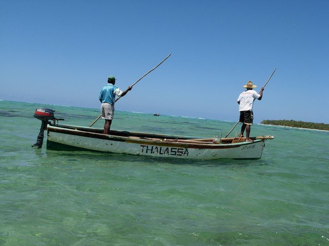 Mauritius 2007 - 391